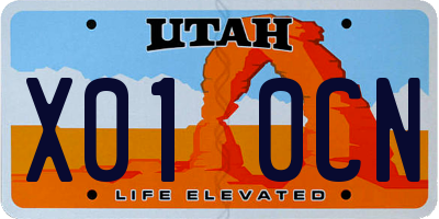 UT license plate X010CN