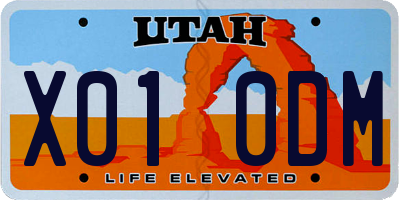 UT license plate X010DM