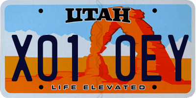 UT license plate X010EY