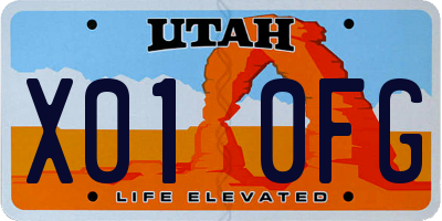 UT license plate X010FG
