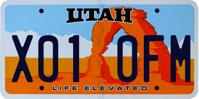 UT license plate X010FM