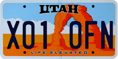 UT license plate X010FN