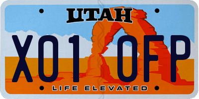 UT license plate X010FP