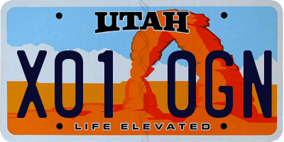 UT license plate X010GN