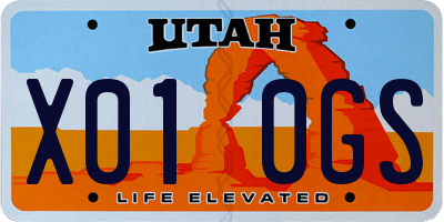 UT license plate X010GS