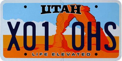 UT license plate X010HS