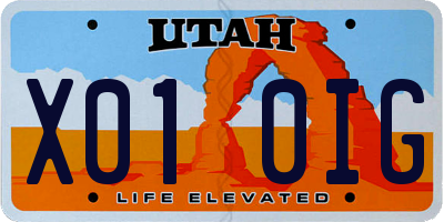 UT license plate X010IG
