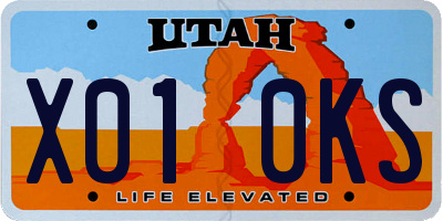 UT license plate X010KS