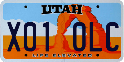 UT license plate X010LC