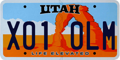 UT license plate X010LM