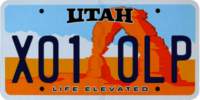 UT license plate X010LP