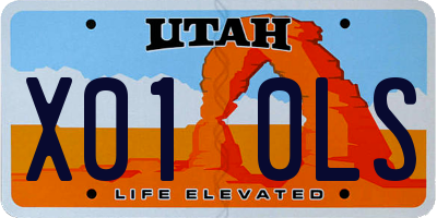 UT license plate X010LS