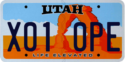 UT license plate X010PE
