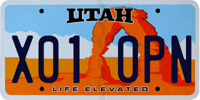 UT license plate X010PN