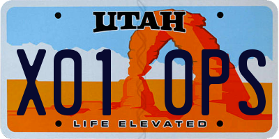UT license plate X010PS