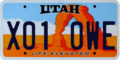 UT license plate X010WE