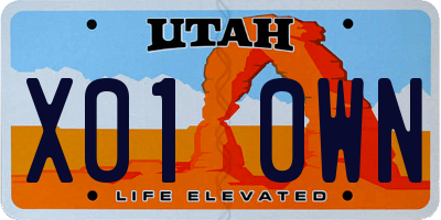 UT license plate X010WN