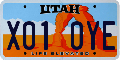 UT license plate X010YE