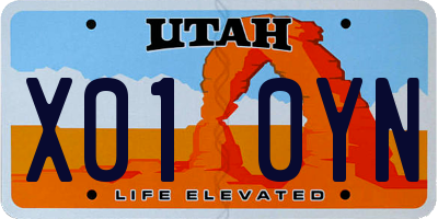 UT license plate X010YN