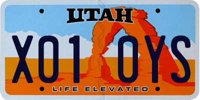 UT license plate X010YS