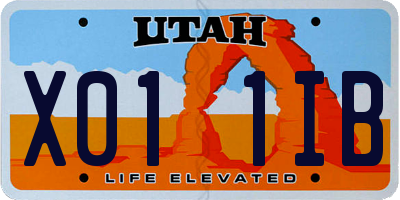UT license plate X011IB