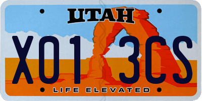 UT license plate X013CS