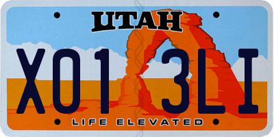 UT license plate X013LI