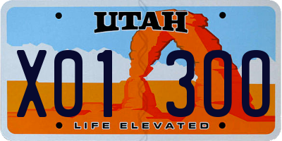 UT license plate X013OO