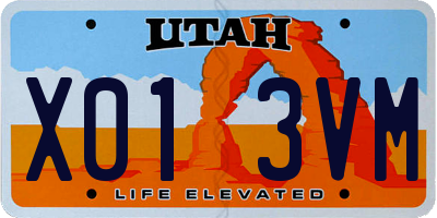 UT license plate X013VM