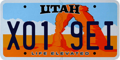 UT license plate X019EI