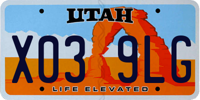 UT license plate X039LG