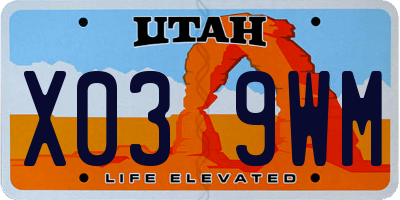 UT license plate X039WM