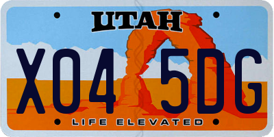 UT license plate X045DG