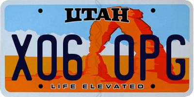 UT license plate X060PG