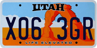 UT license plate X063GR