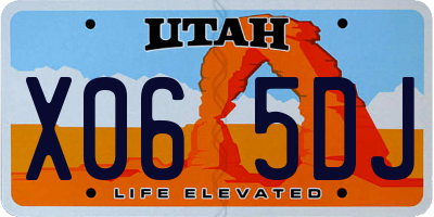 UT license plate X065DJ