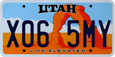 UT license plate X065MY