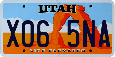 UT license plate X065NA