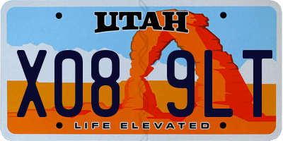 UT license plate X089LT