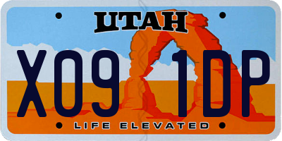 UT license plate X091DP