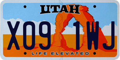 UT license plate X091WJ