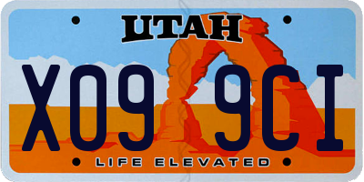 UT license plate X099CI