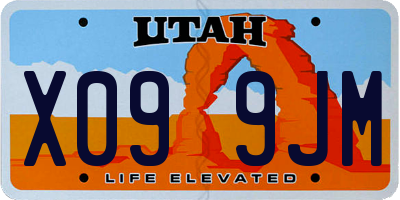 UT license plate X099JM