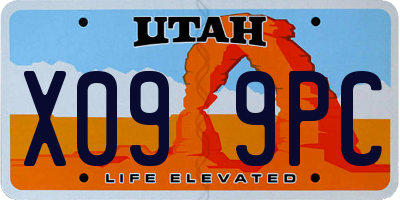UT license plate X099PC