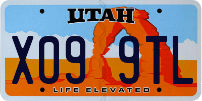 UT license plate X099TL