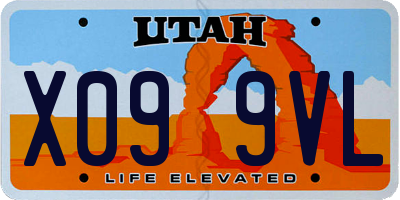 UT license plate X099VL