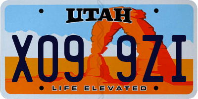 UT license plate X099ZI