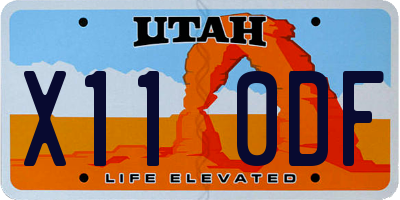 UT license plate X110DF
