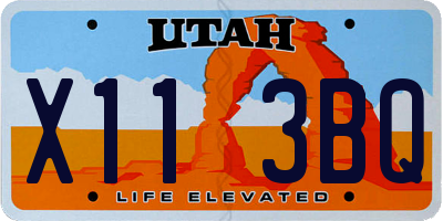 UT license plate X113BQ