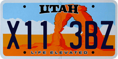 UT license plate X113BZ